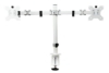 Afbeeldingen van Ergofocus flatscreenarm - Dual screen